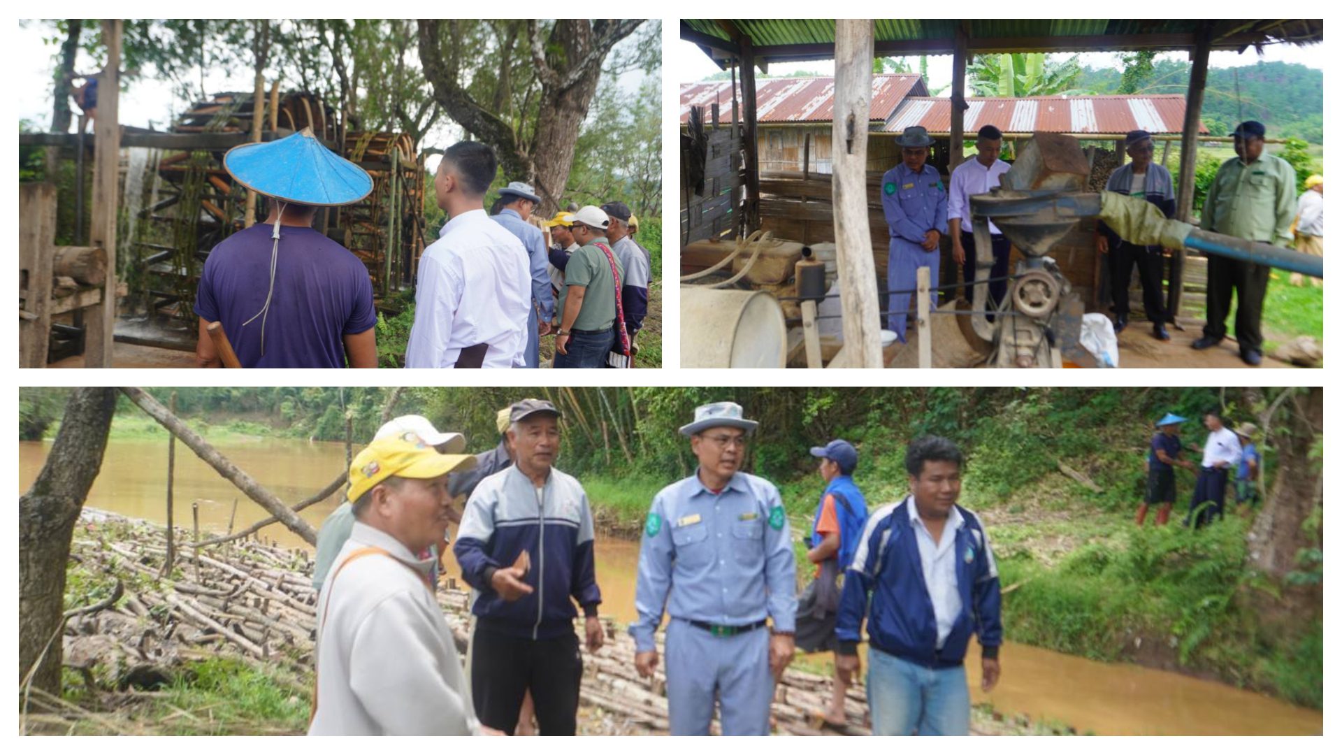 ဦးခွန်သက်နိုင်နှင့် တာဝန်ရှိသူများ ဆနင်းကျေးရွာအုပ်စု စိုက်ပျိုးရေးဖွံ့ဖြိုးတိုးတက်မှုအတွက် ကွင်းဆင်းလေ့လာ