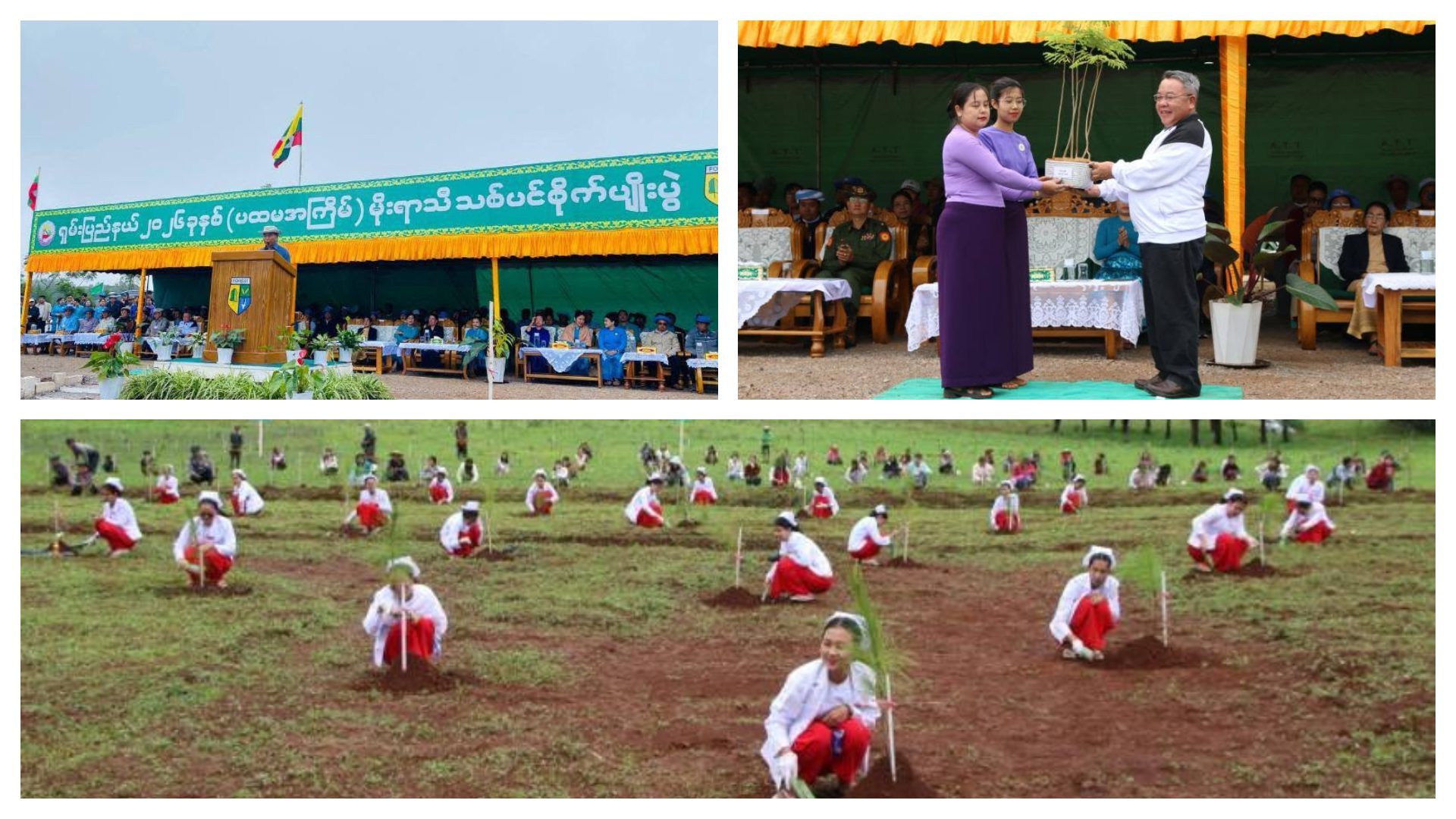 တောင်ကြီးမြို့၌ မိုးရာသီသစ်ပင်စိုက်ပျိုးပွဲကျင်းပ၊ ပျိုးပင် ၁,၀၀၀ စိုက်ပျိုး
