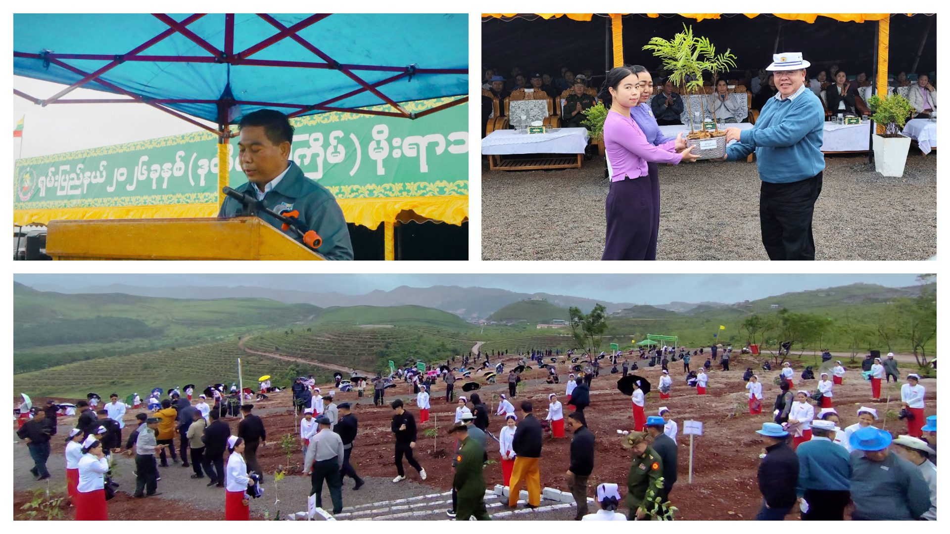 တောင်ကြီးမြို့တွင် ၂၀၂၆ ခုနှစ် ဒုတိယအကြိမ် မိုးရာသီသစ်ပင်စိုက်ပျိုးပွဲတွင် သစ်ပင် ၁,၁၀၀ ပင် စိုက်ပျိုး